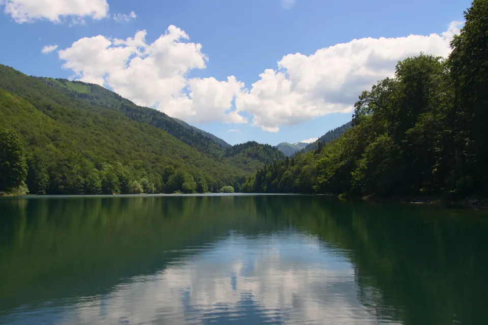 Mirna šumovita voda Biogradskog jezera pod djelimično oblačnim ljetnjim nebom