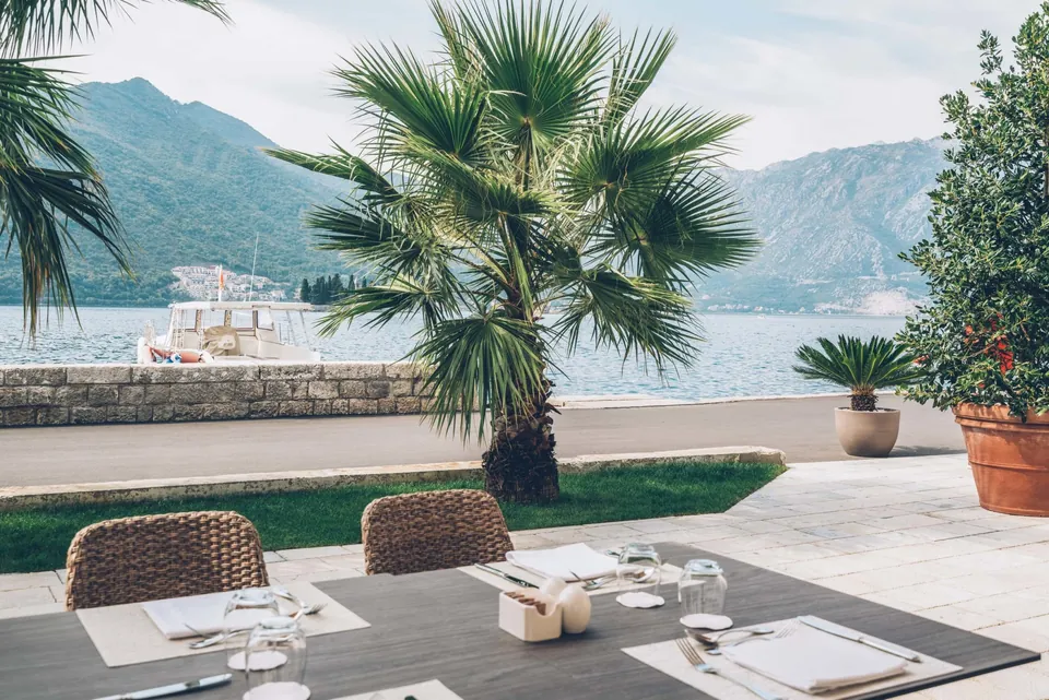 Breakfast terrace with palm tree above the water