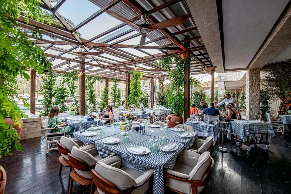 Pergola terrace with blue checked cloths beneath climbing greenery