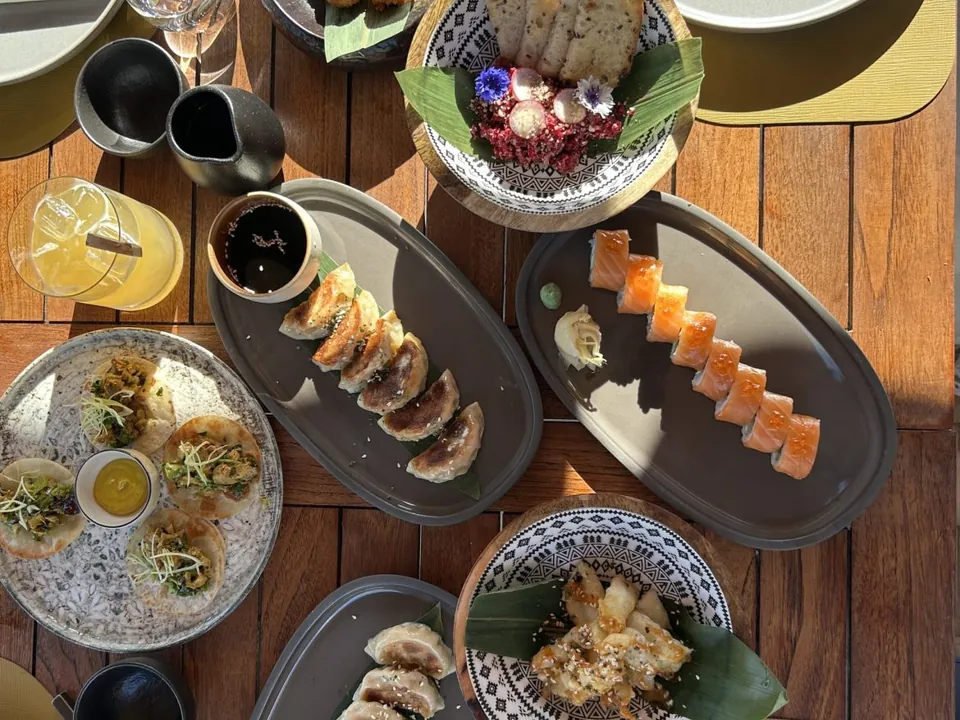 Dishes seen from above: gyoza, salmon rolls, tacos and tartare