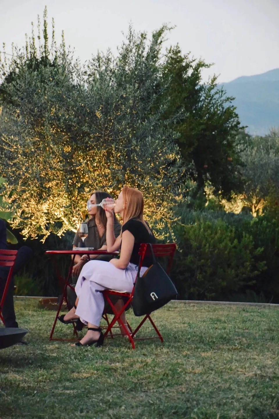Guests seated at a red garden table under lit trees