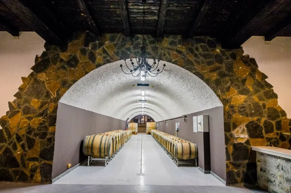 The barrel cellar under a vaulted stone arch
