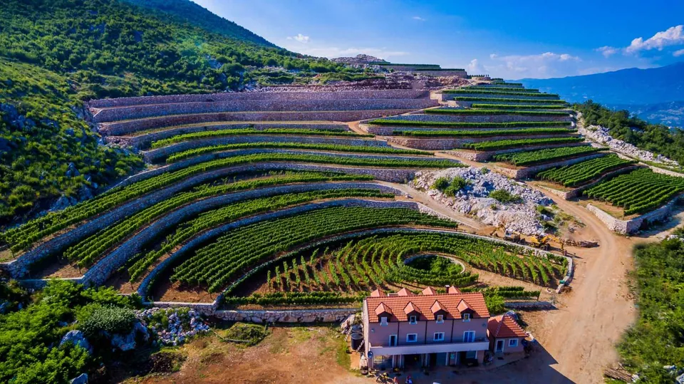 Curved stone terraces of the vineyard above the winery building