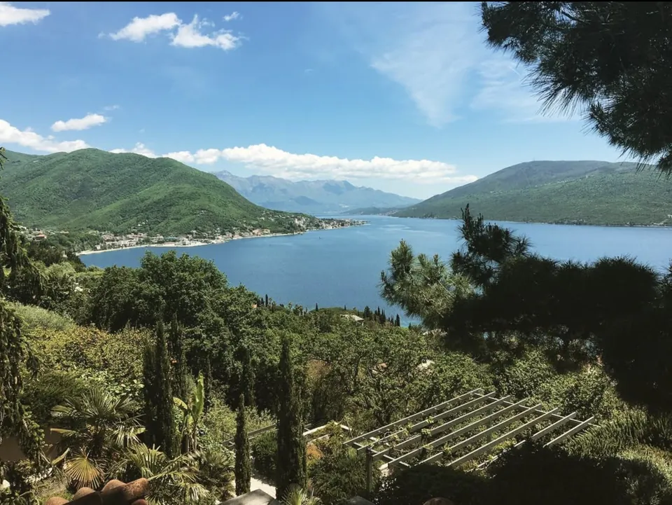 Vineyard terraces looking across the bay towards Herceg Novi
